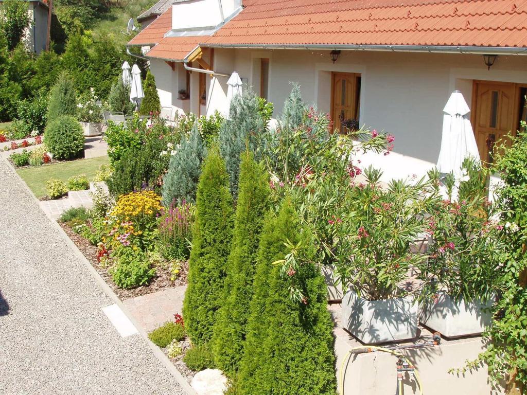 Appartement Franciska Portaja à Igal Extérieur photo